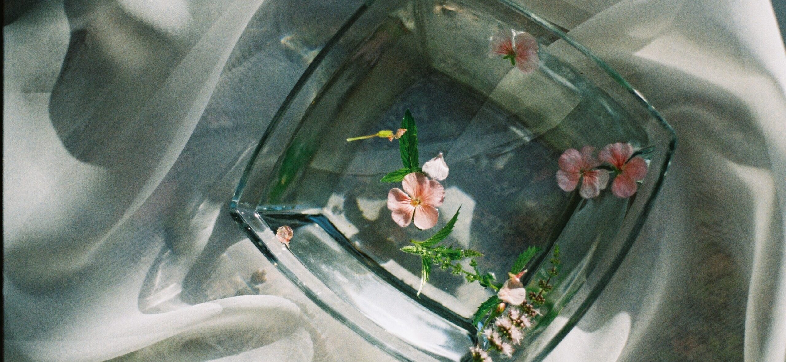 Leaves and Flowers Floating on Water in Glass Bowl